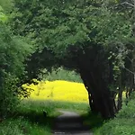 Lägenhet Birk
